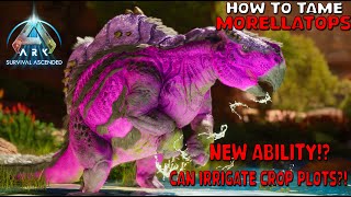 Ark Survival Ascended  How To Tame Morellatops  Scorched earth exclusive New ability [upl. by Trabue]