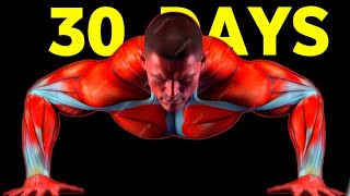 10 SUPER Effects of Doing Push Ups 30 Days [upl. by Marchelle15]