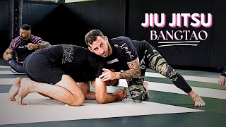 WEEKLY RECAP  Bangtao Jiu Jitsu  BJJ  Alex Schild [upl. by Meer]