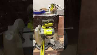 Miter saw dust collection enclosure [upl. by Nyrhtak22]