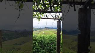 Cabana incrível com vista para as montanhas airbnb lugaresincriveis [upl. by Illehs888]