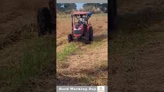 Hard Working Day 170 Dry Hay Spreader In The Field [upl. by Wohlen]