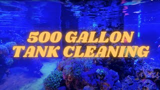 500 GALLON Saltwater CORAL REEF Tank Feeding  TIMELAPSE [upl. by Kcirrez]