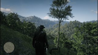 How to Find American Ginseng in Red Dead Redemption 2 [upl. by Rosalie]