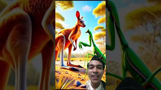 3 Fusion Animals Tier Sss fusion hybrid animals hybridanimals shorts trending viralvideo [upl. by Arocahs]