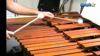 How to Play Xylophone for Beginners [upl. by Bowen]