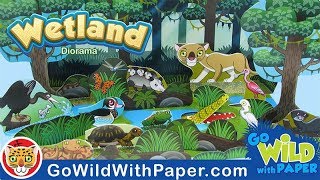 Make a Wetlands Habitat Diorama  Papercraft Diorama Project [upl. by Leinaj]