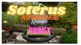 ASPIRACENERE RIBIMEX [upl. by Ahsekal]