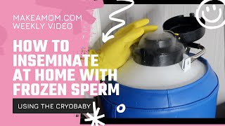 How to Inseminate at Home with Frozen Sperm and The Cryobaby [upl. by Irtimid]