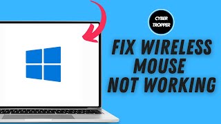 How to Fix Wireless Mouse Not Working on Windows [upl. by Anoi]