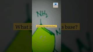 What is Nitrogenous base microbiology nucleotide sugar dna rna shorts viral [upl. by Tallu]