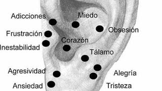 Auriculoterapia Clase 4 [upl. by Aibos]