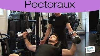 Muscler ses pectoraux  le développé incliné avec altère [upl. by Aisinut]