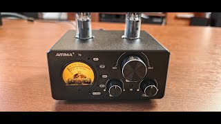 Aiyima T9 hybrid speaker amplifier review  value value and value and tubes [upl. by Mirella]