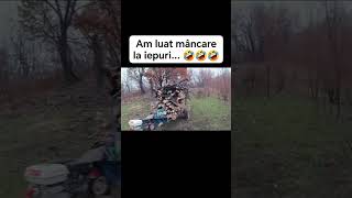 Mâncare de la iepurași 🤣 goviral lemne motocultor viral reels romania [upl. by Secnarf383]