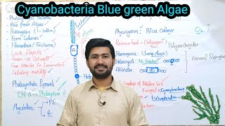 610 Cyanobacteria Blue green Algae and their characteristics Fsc Biology class11 [upl. by Lodge]