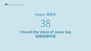 38  I Heard the Voice of Jesus Say [upl. by Irtimid]