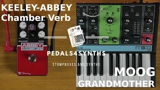 Pedals4Synths  KEELEY  Abbey Chamber Verb WMOOG Grandmother [upl. by Chryste]