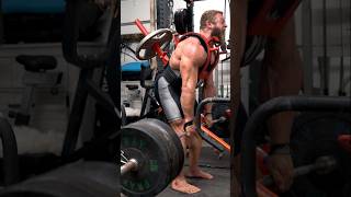 STEGOSAURUS DEADLIFTS shorts workout deadlift [upl. by Atekin]