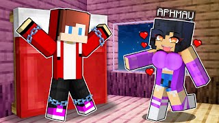 APHMAU Kidnapped JJ in Minecraft Challenge  Maizen JJ and Mikey [upl. by Hayashi]