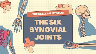 The Skeletal System 6 Synovial Joints in Human Body Science Learning Video [upl. by Grosberg]