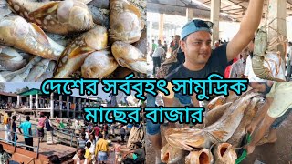 ফিশারি ঘাট মাছ বাজার কক্সবাজার ।। Fishery ghat ।। Sea fish market Coxs Bazar ।। Khushnur Nahid ।। [upl. by Chastity]