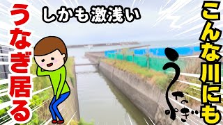 浅い川で天然うなぎ釣り [upl. by Noneek58]