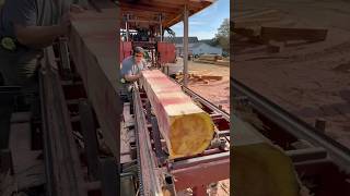 Red Cedar Cut Into 8x8 Material  Cooks AC36 sawmill [upl. by Arlinda343]