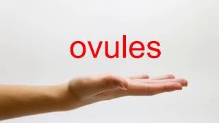 How to Pronounce ovules  American English [upl. by Iaria]