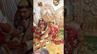 Kalyanam kamaniyam viralvideo maaoorigammathulu marriage [upl. by Lord]