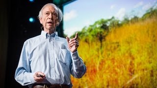 How to green the worlds deserts and reverse climate change  Allan Savory [upl. by Iatnwahs794]