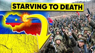 North Korean Troops Starving in Russia [upl. by Gavan]