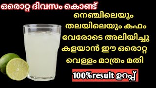 എത്ര പഴകിയ കഫവും അലിയിച്ചു കളയാൻ ഈ ഒരു വെള്ളം മതി kapham treatment in malayalam കഫക്കെട്ട് മാറാൻ 💯 [upl. by Lever583]