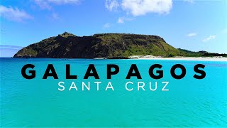 GALAPAGOS ISLA SANTA CRUZ  Travel Guide to ALL SIGHTS and ISLANDS in 4K [upl. by Zanas]