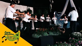 Pinga com Limão  Coro Masculino da Afubra [upl. by Enileuqkcaj]