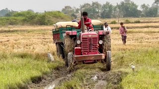 Mahindra and New holland tractors working with loaded trolley  tractor [upl. by Secrest155]