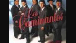 los caminantes chaparra ingrata0001wmv [upl. by Ajssatsan]