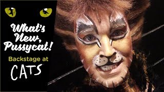 Episode 12  Whats New Pussycat Backstage at CATS with Tyler Hanes [upl. by Negem]