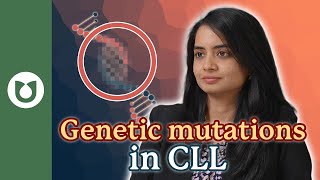 What genetic mutations are there in CLL CLL [upl. by Adyl]