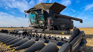 BLACK MONSTRUM  Fendt IDEAL 10T amp Geringhoff 16 rows Mais Star Horizon  Corn harvest [upl. by Annaul158]