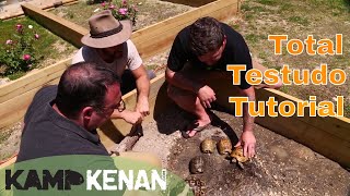 Testudo Tortoise Tutorial [upl. by Erdied57]