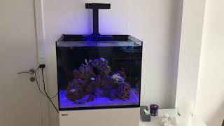 Saltvandsakvarium  Reefer 170 [upl. by Yot]