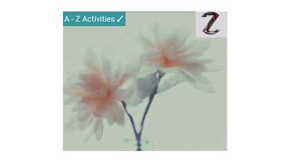 CREPE PAPER FLOWERSFLOWER Gorgeous Crepe Paper Decoration Ideas  Crepe Paper craft [upl. by Rebma]