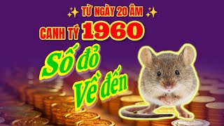 Số đỏ về đến  Tử vi từ 20 âm biết rõ  Canh Tý 1960 giàu lên khó cản [upl. by Lucie58]