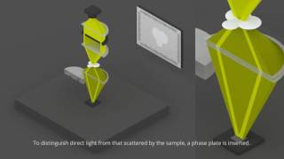 phase contrast and dark field microscopes [upl. by Orest]