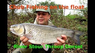 Chub fishing on the River Stour at Throop Dorset [upl. by Maude812]