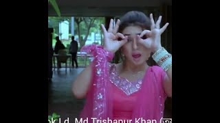 Shokale Tomay Dekhi  সকালে তোমায় দেখি  lyrics song [upl. by Inaffyt]