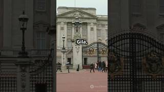 GILAA‼️CERITA PRIA YANG BERANI MASUK KEISTANA RATU ELIZABETH II🙀 shortclipyoutube [upl. by Akinihs482]