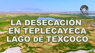 La desecación en Teplecayeca Lago de Texcoco [upl. by Ivon]