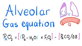 Alveolar Gas Equation  Alveolar arterial Aa gradient Oxygen amp Carbon Dioxide  Lung Physiology [upl. by Oelgnaed]